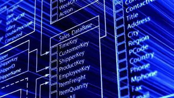 數據驅動未來 一所值得你首選的大學如何打造卓越的數據處理與存儲支持服務